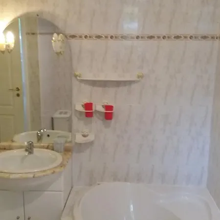 公寓 Studio And Two-bedroom Lidicka *